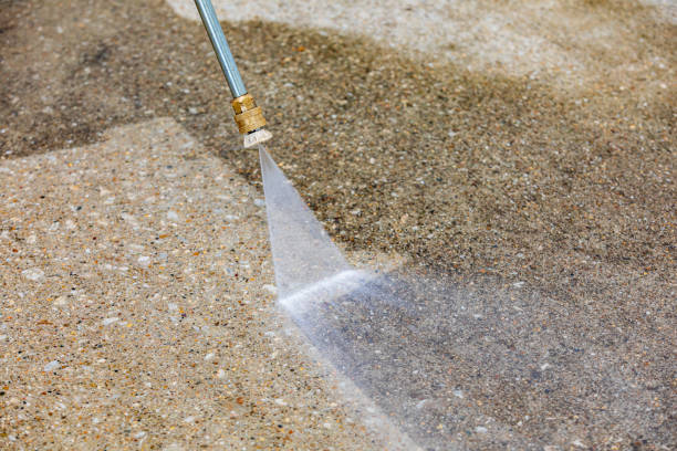 Best Animal Enclosure Cleaning  in Watchung, NJ